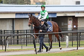 Lot 249 Astern - Kechika Filly