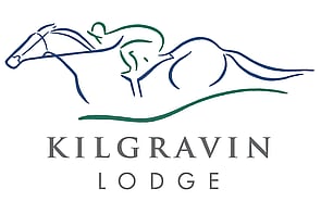 Lot 87 - Dundeel &ndash; KebedeGeldingBreeze Up 10.75