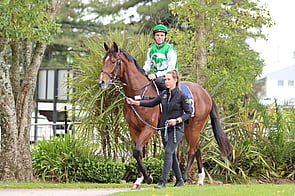 Lot 283 Vancouver - Maddie de Belle Colt