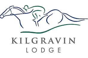 LOT 333 - Capitalist &ndash; ArrowetteColtBreeze Up 10.60