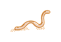 We use worm farms at Little Moas Early Learning Centre Ellerslie