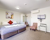 Standard Studio - Learn more