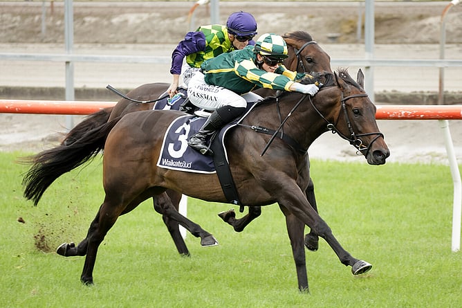 Tonia's Dragon winning at Matamata on Friday. - Photo: Kenton Wright (Race Images)
