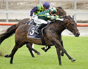 Tonia's Dragon back in winning form