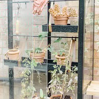 Gorst Studios - garden