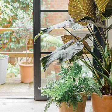 Gorst Studios - common areas