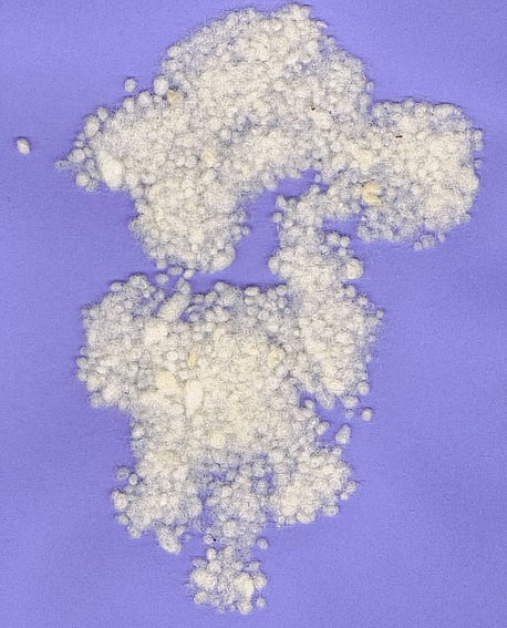 First cross Romney knops from Hawkes Bay