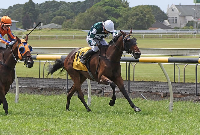 Acer winning the Listed Grangewilliam Stud Oaks Prelude (1800m) at New Plymouth. - Photo: Jane Davidson (Race Images)