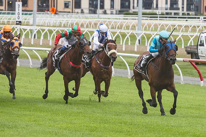 Pour The Wine winning the Listed Speight&rsquo;s Timaru Stakes (1200m) at Riccarton on Saturday.   - Photo: Race Images South