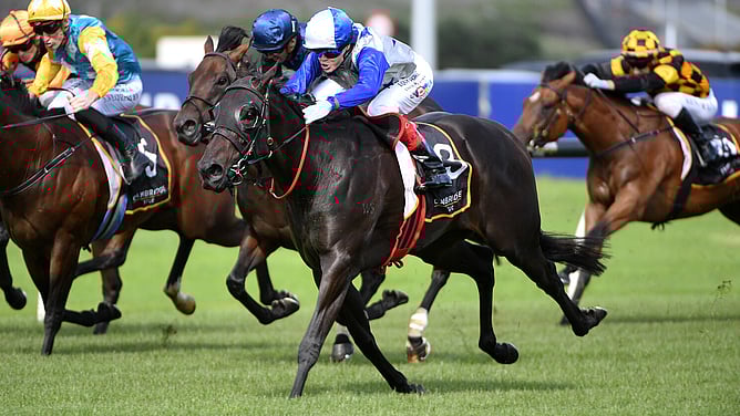 Belle Cheval winning the Gr.3 Cambridge Stud Almanzor Trophy (1200m) at Ellerslie on Saturday. - Photo: Kenton Wright (Race Images)