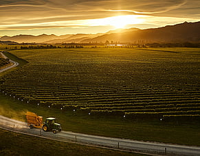 Whitehaven Marlborough Wine - new releases