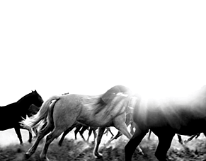 2026: The Year of Momentum, Glow &amp; Skin Confidence