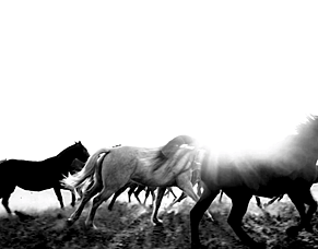 2026: The Year of Momentum, Glow &amp; Skin Confidence