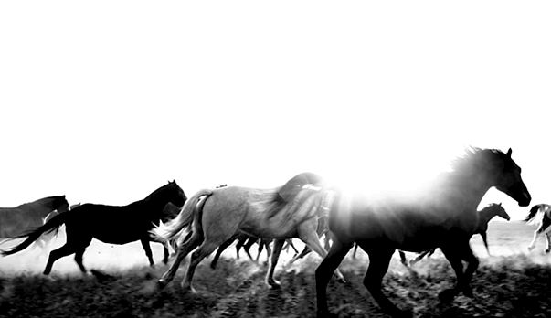 2026: The Year of Momentum, Glow &amp; Skin Confidence