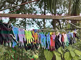 Planting Crew - We don't mind getting our hands dirty, but wearing gloves can help. We have a great and efficient planting crew, who can do the hard work for you. That includes planting, releasing your plants and monitoring.