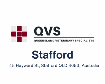Queensland Veterinary Specialists Stafford Logo