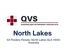 Queensland Veterinary Specialists North Lakes Logo 