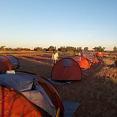Tents set up in the Outback