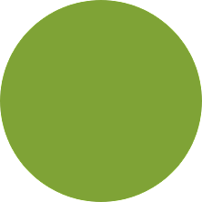 North East Management Consultant