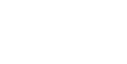 Performance Perspective International