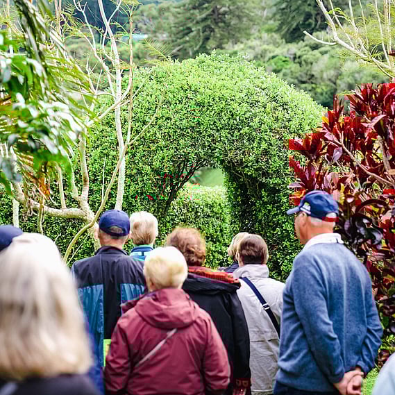 Tourists at a garden