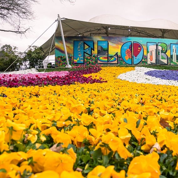 Shot of Flowers planted at Floriade Commonwealth Park