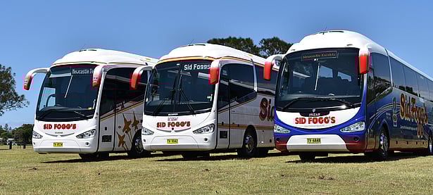 Three Sid Fogg's buses parked next to each other