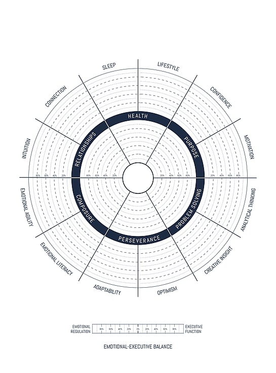 PRI - Personal Resilience Indicator assessment tool