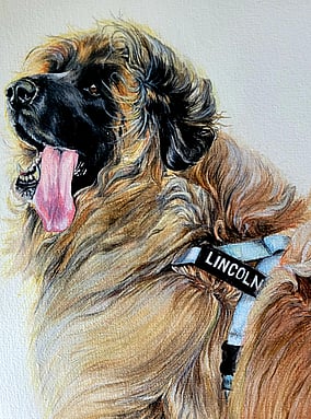 Winston and Bindi Pet Painting Commission Art New Zealand. Caricature pet art. Hyper realistic pet art. Dog and cat commission artwork. Kayla pet paintings. Kaela pet paintings