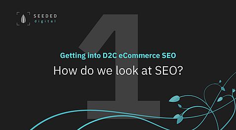 Episode 1 - How do we look at SEO? - Getting into D2C eCommerce SEO video series