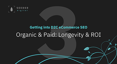 Episode 3 - Organic & Paid: Longevity & ROI - Getting into D2C eCommerce SEO video series