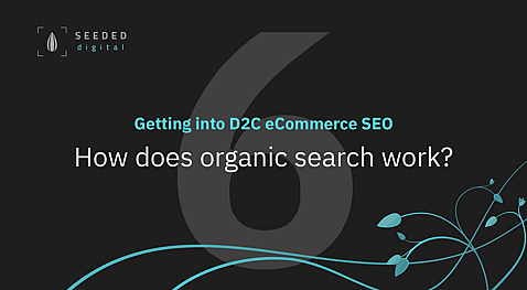 Episode 6 - How does organic search work? - Getting into D2C eCommerce SEO video series