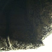 Asbestos spray coating