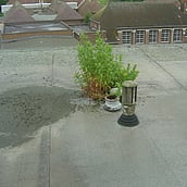 Asbestos cement cowls