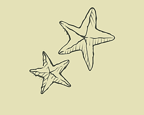 Hand drawn graphic of 2 starfish