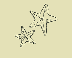 Hand drawn graphic of 2 starfish