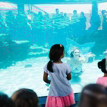 Mermaid Underwater Show