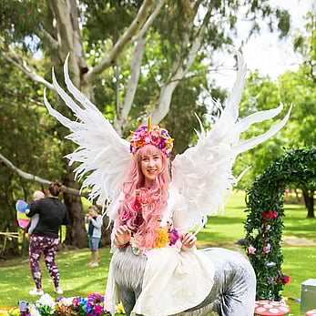 Pegasus Fairy Dress Up
