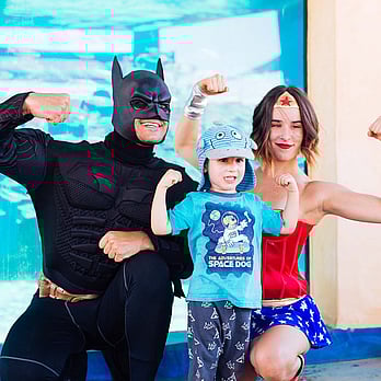 Batman and Superwoman