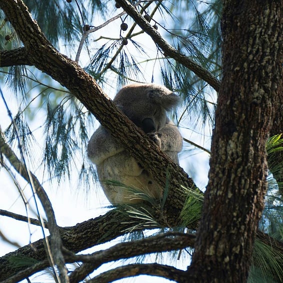 Lounge venue with a view overlooking trees