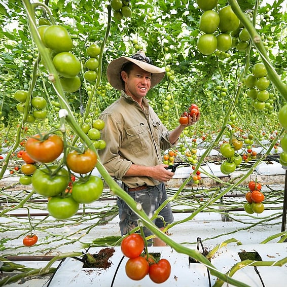 Kids and Man posing at an aircraft at the Hinkler Hall of Aviation