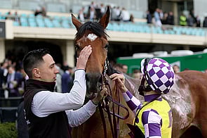 Sacred Elixir - Pour Moi x Baltika