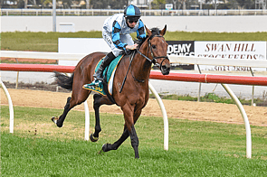 Let's Karaka Deel - Dundeel x Tegwin