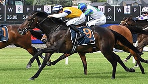 Mary Shan - Almanzor x Shanzam