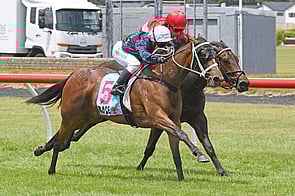 Intention - Bivouac x Bella Hudood