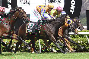 Quintessa - Shamus Award x Chaquinta