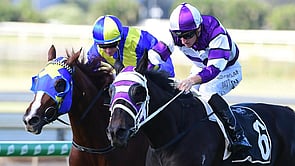 Easifar - Pride of Dubai x Storm Fronts