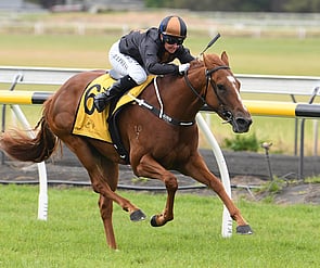 Spine Tingle - Super Easy x Myback