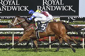 Kolding - Ocean Park x Magic Star