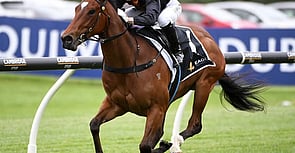 Harvey Wallbanger - Home Affairs x Mai Tai